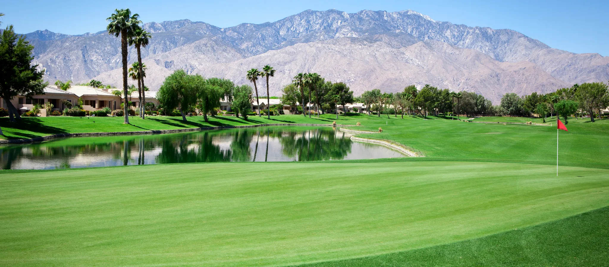 Panoramic view of a large putting green on a Palm Springs, California Golf Course. A stock photo.