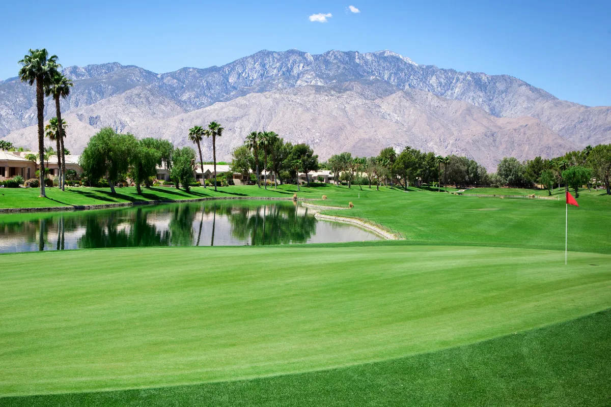 Panoramic view of a large putting green on a Palm Springs, California Golf Course. A wealth and leisure themed stock photo.